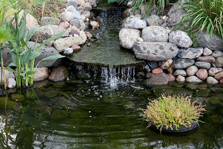backyard waterfall